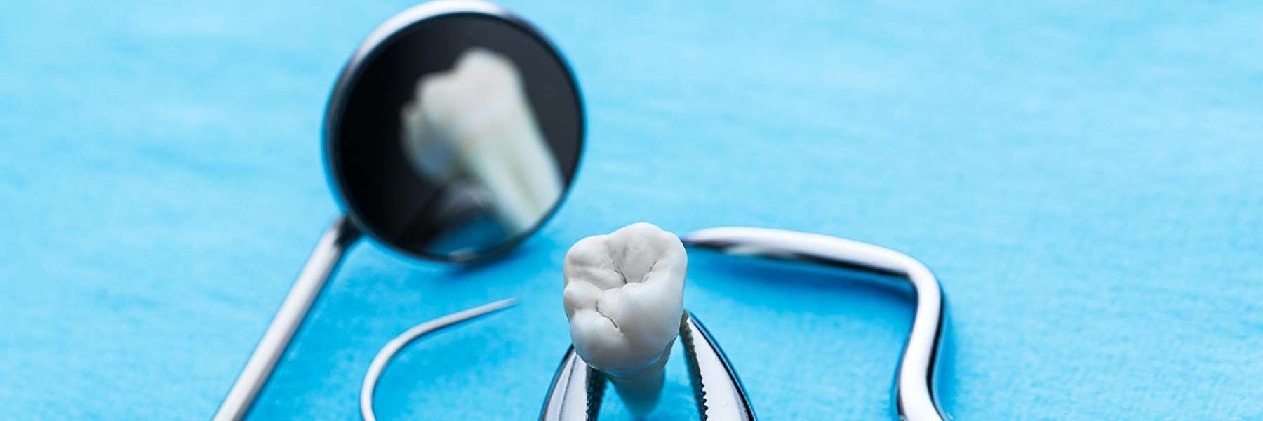 Dental tools in Annapolis, MD